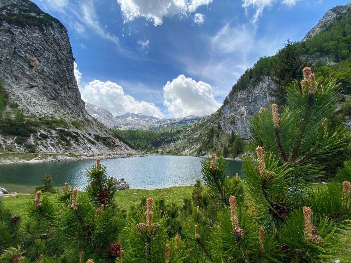 Hostel Soca Rocks Bovec Exterior photo